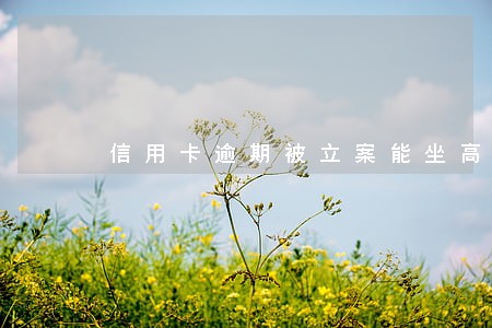 信用卡逾期被立案能坐高铁吗 信用卡逾期被立案能坐高铁吗
