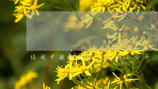信用卡逾期被第三方网上公开 信用卡逾期被第三方网上公开