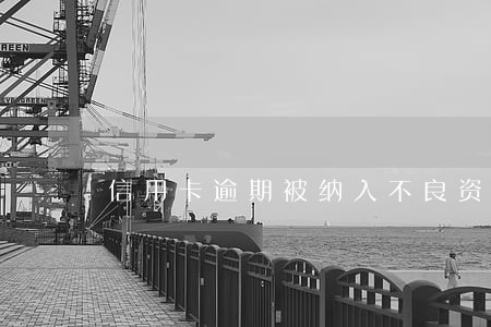 信用卡逾期被纳入不良资产后果 信用卡逾期被纳入不良资产后果