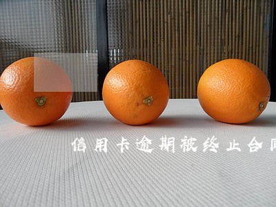 信用卡逾期被终止合同