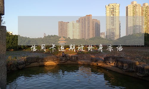 信用卡逾期被终身冻结 信用卡逾期被终身冻结