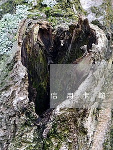 信用卡逾期被经侦传唤如果不去会怎么样 信用卡逾期被经侦传唤如果不去会怎么样