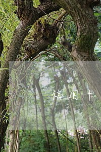 信用卡逾期被经侦通知怎么办