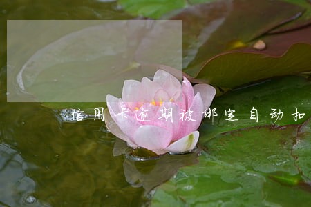 信用卡逾期被绑定自动扣费