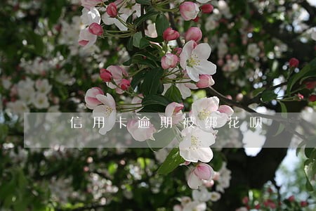 信用卡逾期被绑花呗 信用卡逾期被绑花呗