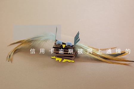 信用卡逾期被网上通缉的人 信用卡逾期被网上通缉的人