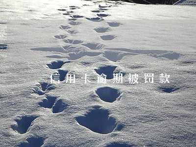 信用卡逾期被罚款