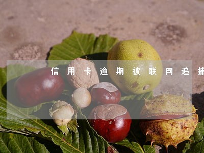 信用卡逾期被联网追捕吗
