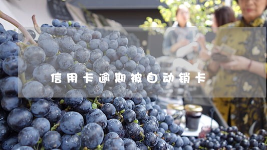 信用卡逾期被自动销卡 信用卡逾期被自动销卡