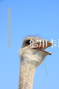 信用卡逾期被莫名还了进去 信用卡逾期被莫名还了进去