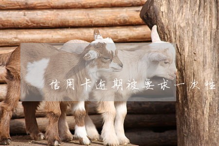 信用卡逾期被要求一次性还款