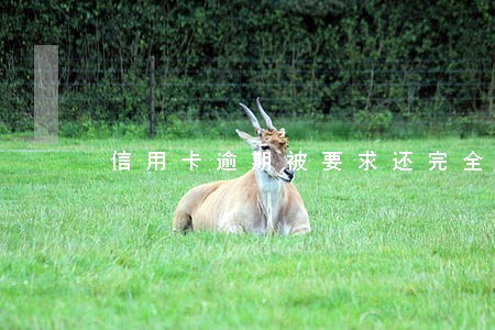 信用卡逾期被要求还完全款 信用卡逾期被要求还完全款