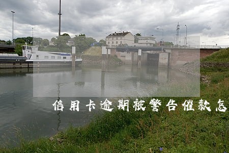 信用卡逾期被警告催款怎么办 信用卡逾期被警告催款怎么办