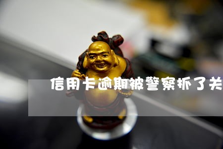 信用卡逾期被警察抓了关多久