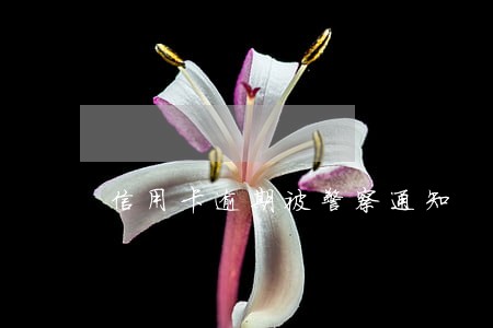 信用卡逾期被警察通知 信用卡逾期被警察通知