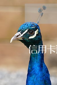信用卡逾期被记录了 信用卡逾期被记录了