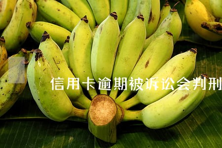 信用卡逾期被诉讼会判刑吗 信用卡逾期被诉讼会判刑吗