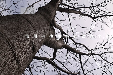 信用卡逾期被诉讼会坐牢吗 信用卡逾期被诉讼会坐牢吗