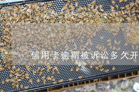 信用卡逾期被诉讼多久开庭 信用卡逾期被诉讼多久开庭