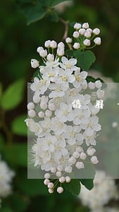 信用卡逾期被诉讼多久执行
