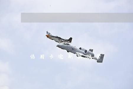 信用卡逾期被谁管 信用卡逾期被谁管