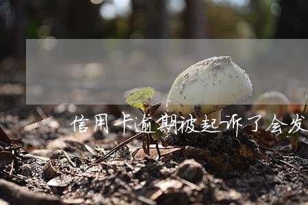 信用卡逾期被起诉了会发生什么 信用卡逾期被起诉了会发生什么