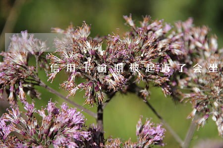 信用卡逾期被起诉了会坐牢不 信用卡逾期被起诉了会坐牢不
