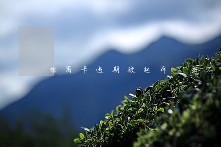 信用卡逾期被起诉了去不了怎么办 信用卡逾期被起诉了去不了怎么办