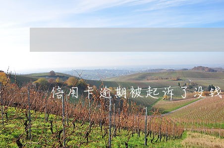 信用卡逾期被起诉了没钱还咋办 信用卡逾期被起诉了没钱还咋办
