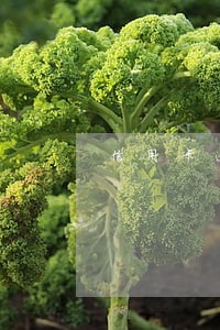 信用卡逾期被起诉了视频 信用卡逾期被起诉了视频