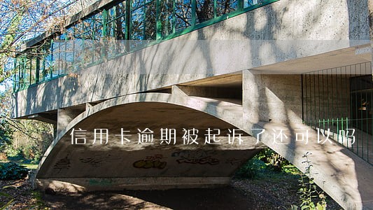 信用卡逾期被起诉了还可以吗 信用卡逾期被起诉了还可以吗