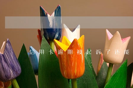 信用卡逾期被起诉了还能起诉吗 信用卡逾期被起诉了还能起诉吗
