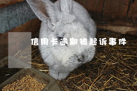 信用卡逾期被起诉事件 信用卡逾期被起诉事件