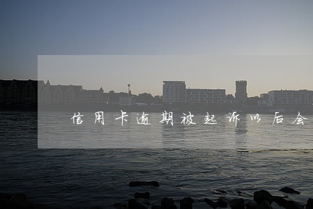 信用卡逾期被起诉以后会怎么样