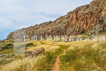 信用卡逾期被起诉会强制执行吗 信用卡逾期被起诉会强制执行吗