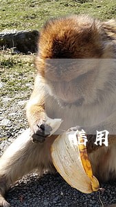 信用卡逾期被起诉会怎么样啊