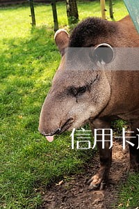 信用卡逾期被起诉会怎么通知你