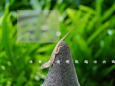 信用卡逾期被起诉会收到传单 信用卡逾期被起诉会收到传单
