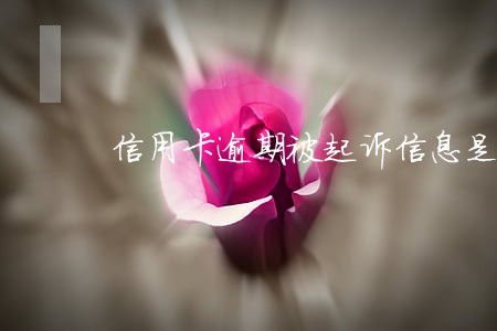 信用卡逾期被起诉信息是真的吗 信用卡逾期被起诉信息是真的吗