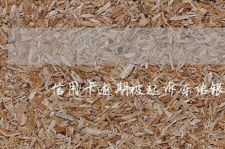 信用卡逾期被起诉冻结银行卡