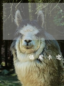 信用卡逾期被起诉出庭应该做 信用卡逾期被起诉出庭应该做