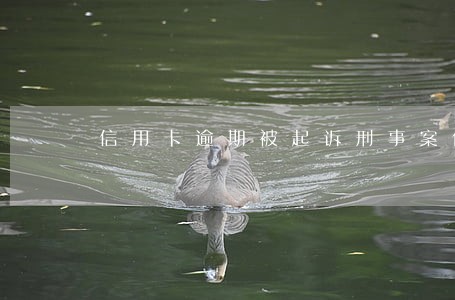 信用卡逾期被起诉刑事案件