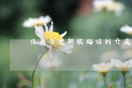信用卡逾期被起诉到开庭时间 信用卡逾期被起诉到开庭时间