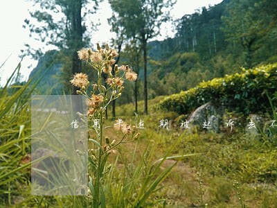 信用卡逾期被起诉去不去 信用卡逾期被起诉去不去