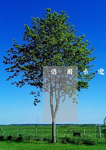信用卡逾期被起诉发传票
