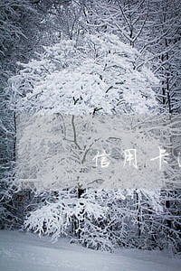 信用卡逾期被起诉可以不上庭么