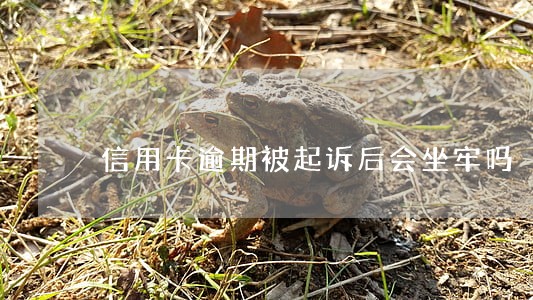 信用卡逾期被起诉后会坐牢吗 信用卡逾期被起诉后会坐牢吗