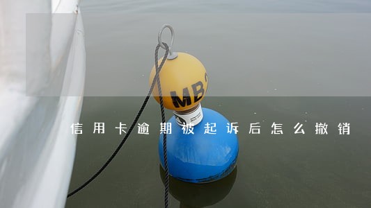 信用卡逾期被起诉后怎么撤销 信用卡逾期被起诉后怎么撤销