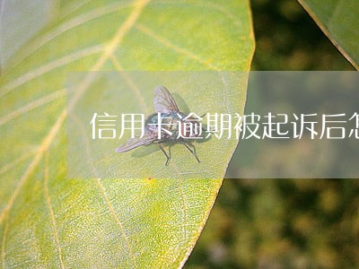 信用卡逾期被起诉后怎么还款 信用卡逾期被起诉后怎么还款