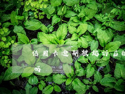 信用卡逾期被起诉后把钱还了卡会自动注销吗 信用卡逾期被起诉后把钱还了卡会自动注销吗